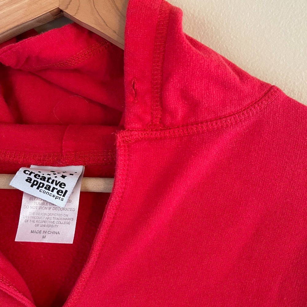 womens Wisconsin Badgers red hoodie sweatshirt, medium - Picture 5 of 12